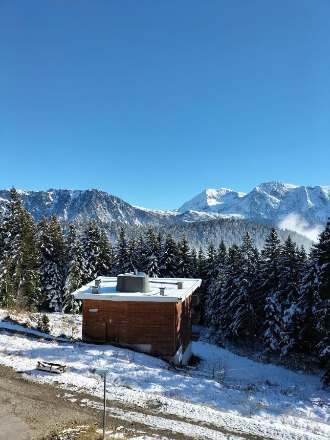 Appartement Le Sorbier A Chamrousse 3 Pieces 6 Personnes Aux Pieds Des Pistes 外观 照片