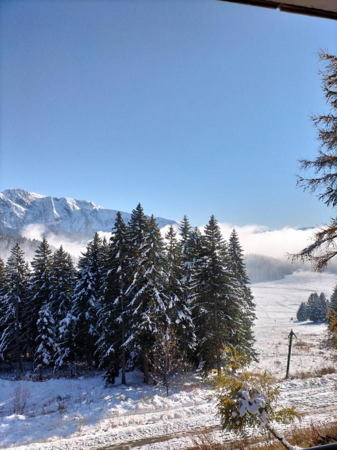 Appartement Le Sorbier A Chamrousse 3 Pieces 6 Personnes Aux Pieds Des Pistes 外观 照片